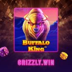 photo_2025-06-16_22-23-20.jpg photo_2025-06-16_22-23-20.jpg