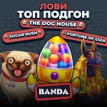 photo_2025-06-20_15-54-03.jpg photo_2025-06-20_15-54-03.jpg