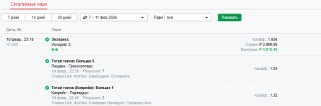 отчет экспресс сев ирл и швец.png