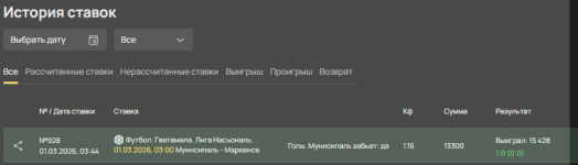 отчт по мануципалетету.png