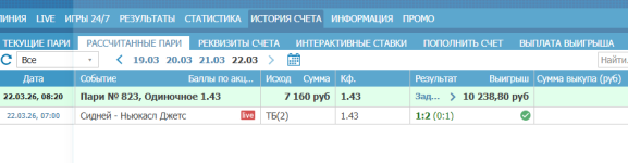 отчет сидней ньюкасл джетс.png