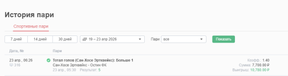 отчет сан хосе остин.png
